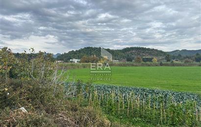 ANTALYA MANAVGAT ODAÖNÜ MAHALLESİ SATILIK TARLA
