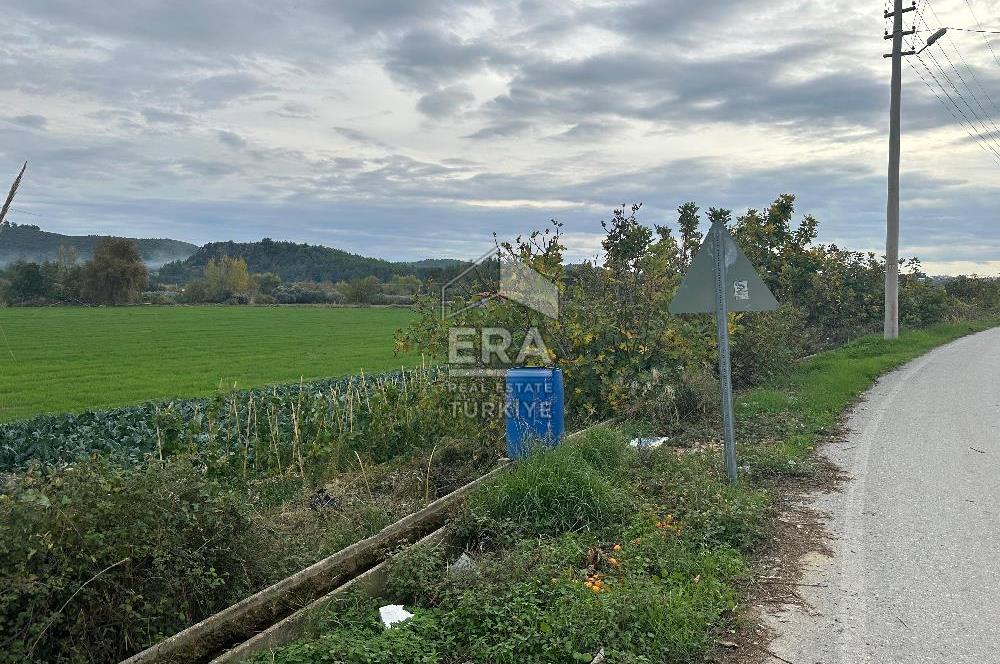 ANTALYA MANAVGAT ODAÖNÜ MAHALLESİ SATILIK TARLA