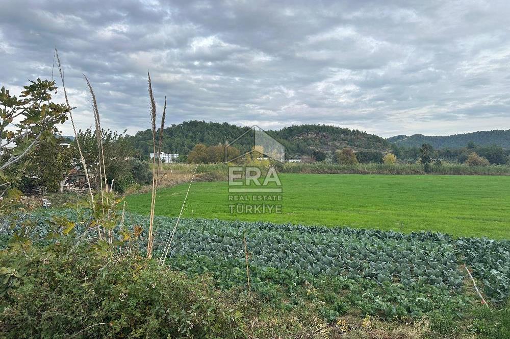 ANTALYA MANAVGAT ODAÖNÜ MAHALLESİ SATILIK TARLA