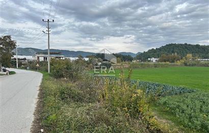 ANTALYA MANAVGAT ODAÖNÜ MAHALLESİ SATILIK TARLA