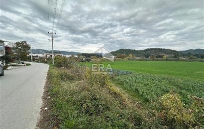 ANTALYA MANAVGAT ODAÖNÜ MAHALLESİ SATILIK TARLA