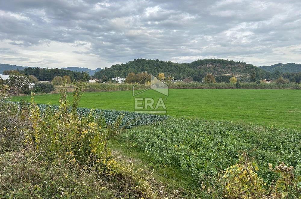 ANTALYA MANAVGAT ODAÖNÜ MAHALLESİ SATILIK TARLA