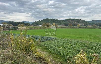 ANTALYA MANAVGAT ODAÖNÜ MAHALLESİ SATILIK TARLA