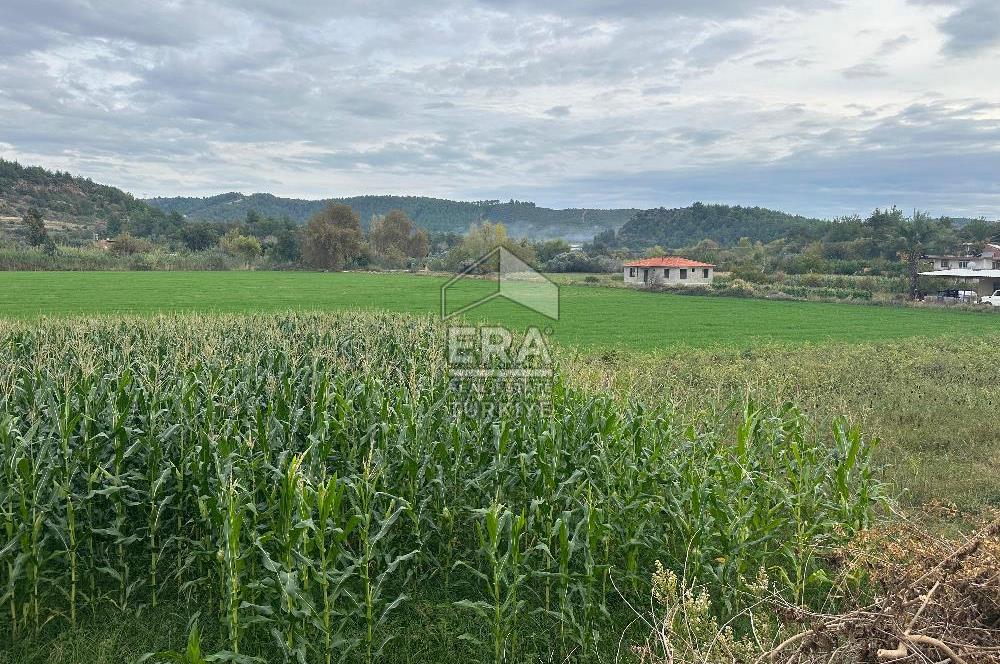 ANTALYA MANAVGAT ODAÖNÜ MAHALLESİ SATILIK TARLA