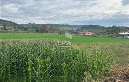 ANTALYA MANAVGAT ODAÖNÜ MAHALLESİ SATILIK TARLA