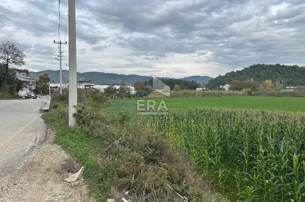 ANTALYA MANAVGAT ODAÖNÜ MAHALLESİ SATILIK TARLA