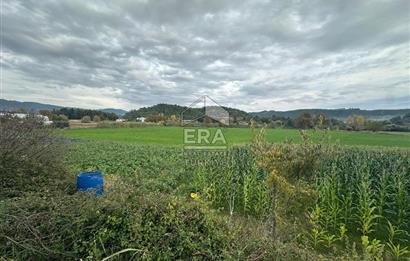 ANTALYA MANAVGAT ODAÖNÜ MAHALLESİ SATILIK TARLA