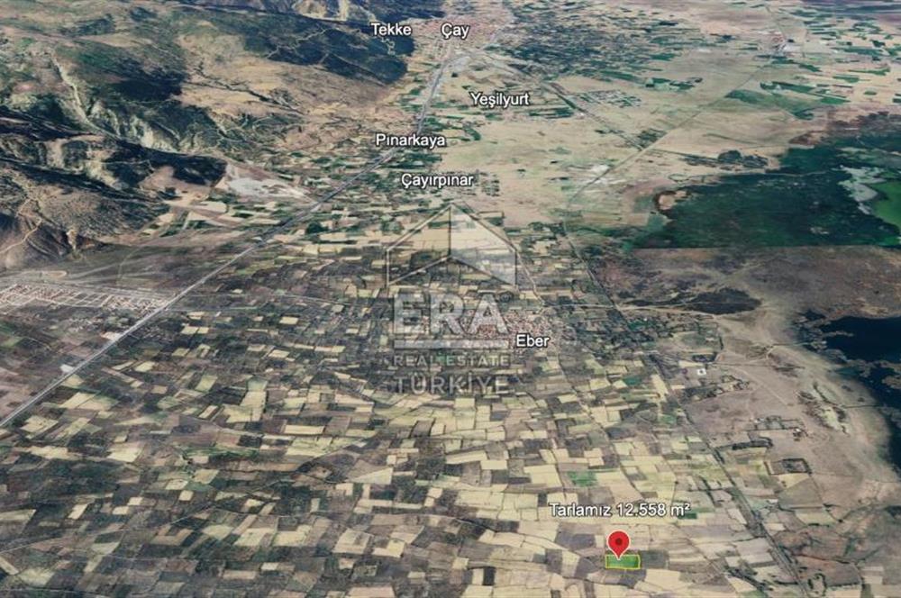 ERA VIP'DEN EBER'DE SATILIK 2 PARSEL 24026 m² TARLA