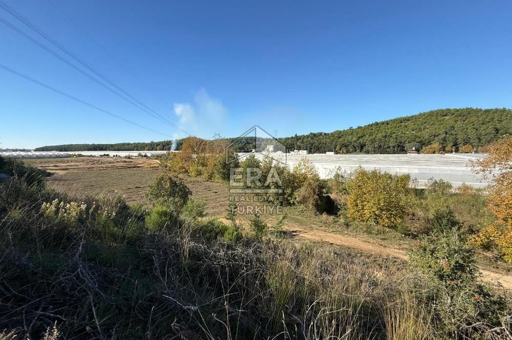 MANAVGAT/UZUNLAR'DA 15 DÖNÜM SATILIK TARLA 