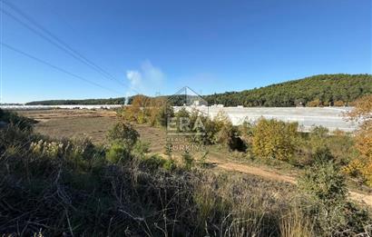 MANAVGAT/UZUNLAR'DA 15 DÖNÜM SATILIK TARLA 