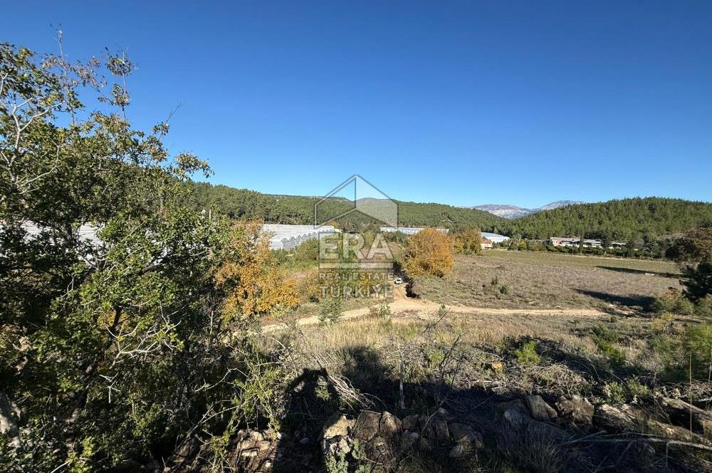 MANAVGAT/UZUNLAR'DA 15 DÖNÜM SATILIK TARLA 