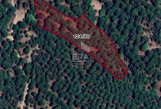 BERGAMA SATILIK ÇAM FİSTIĞI TARLASI - 9 - 14168