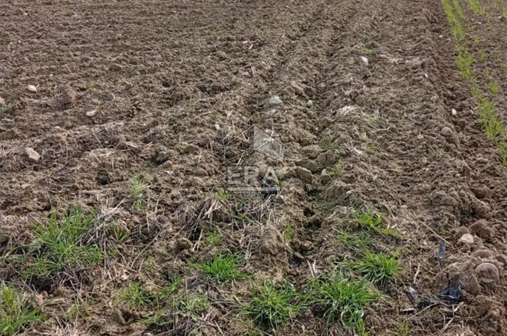 ERA KARAT BİLECİK OSMANELİ SELÇİK KÖYÜNDE 3.211 M2 SATILIK TARLA