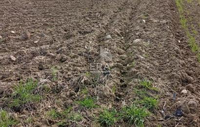 ERA KARAT BİLECİK OSMANELİ SELÇİK KÖYÜNDE 3.211 M2 SATILIK TARLA