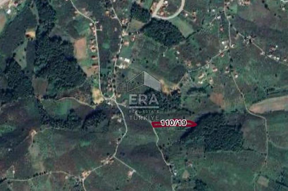 ERA KARAT KARASU TAŞLIGEÇİT KÖY İÇİ'NDE 4,844 M2 SATILIK TARLA