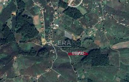 ERA KARAT KARASU TAŞLIGEÇİT KÖY İÇİ'NDE 4,844 M2 SATILIK TARLA