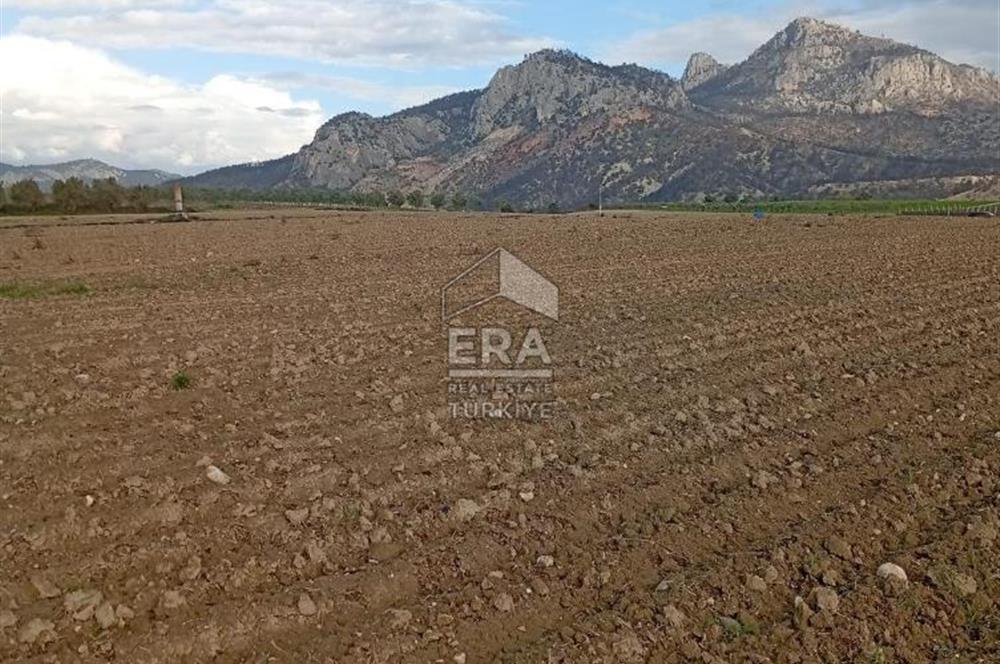 ERA KARAT BİLECİK OSMANELİ SELÇİK KÖYÜNDE 3.211 M2 SATILIK TARLA