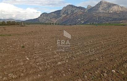 ERA KARAT BİLECİK OSMANELİ SELÇİK KÖYÜNDE 3.211 M2 SATILIK TARLA