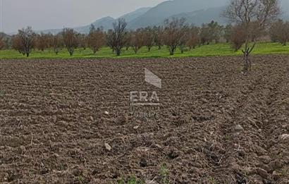 ERA KARAT BİLECİK OSMANELİ SELÇİK KÖYÜNDE 3.211 M2 SATILIK TARLA