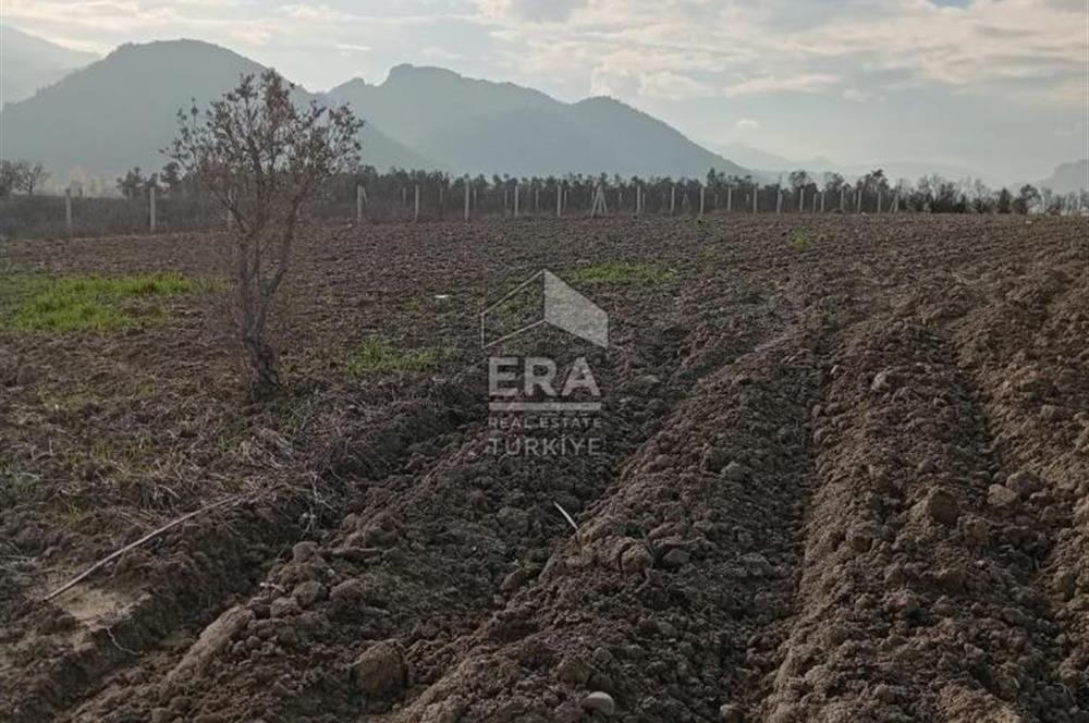 ERA KARAT BİLECİK OSMANELİ SELÇİK KÖYÜNDE 3.211 M2 SATILIK TARLA