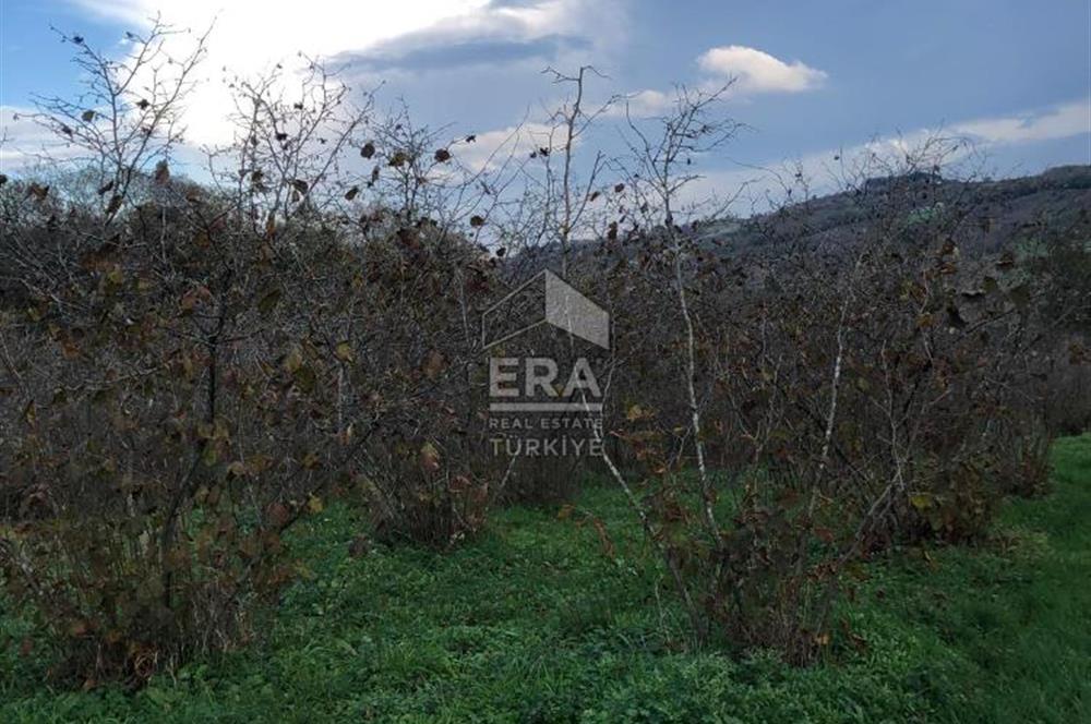 ERA KARAT KARASU TAŞLIGEÇİT KÖY İÇİ'NDE 4,844 M2 SATILIK TARLA