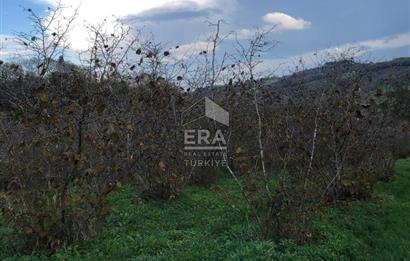 ERA KARAT KARASU TAŞLIGEÇİT KÖY İÇİ'NDE 4,844 M2 SATILIK TARLA