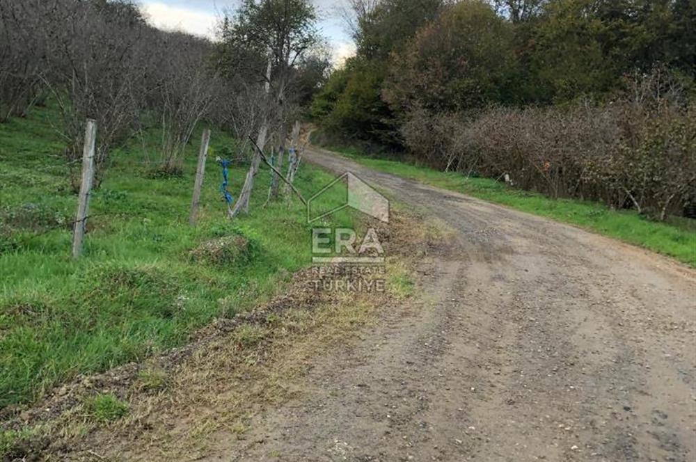 ERA KARAT KARASU TAŞLIGEÇİT KÖY İÇİ'NDE 4,844 M2 SATILIK TARLA