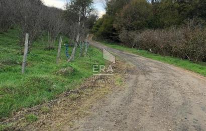 ERA KARAT KARASU TAŞLIGEÇİT KÖY İÇİ'NDE 4,844 M2 SATILIK TARLA