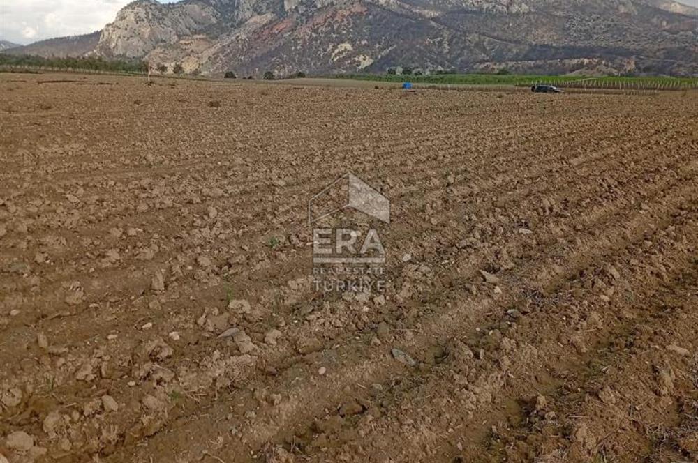 ERA KARAT BİLECİK OSMANELİ SELÇİK KÖYÜNDE 3.211 M2 SATILIK TARLA