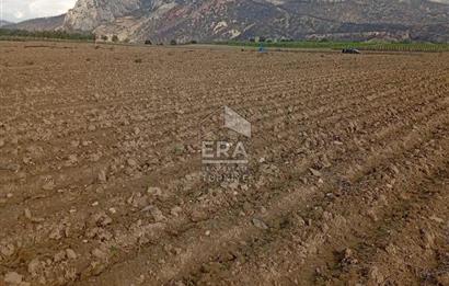 ERA KARAT BİLECİK OSMANELİ SELÇİK KÖYÜNDE 3.211 M2 SATILIK TARLA