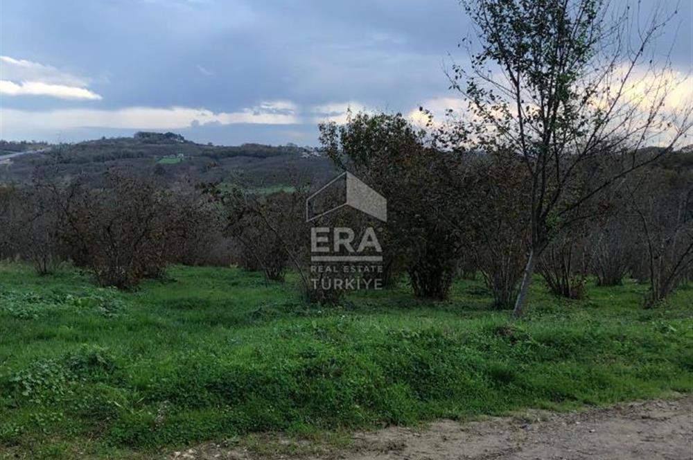 ERA KARAT KARASU TAŞLIGEÇİT KÖY İÇİ'NDE 4,844 M2 SATILIK TARLA