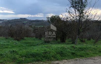 ERA KARAT KARASU TAŞLIGEÇİT KÖY İÇİ'NDE 4,844 M2 SATILIK TARLA