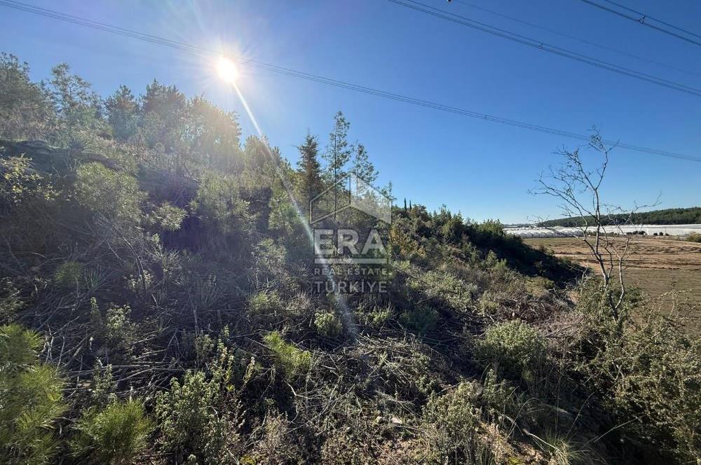 MANAVGAT/UZUNLAR'DA 15 DÖNÜM SATILIK TARLA 