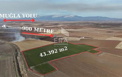 Tavas Medette Muğla Asfaltına Çok Yakın Yatırımlık Satılık Arazi