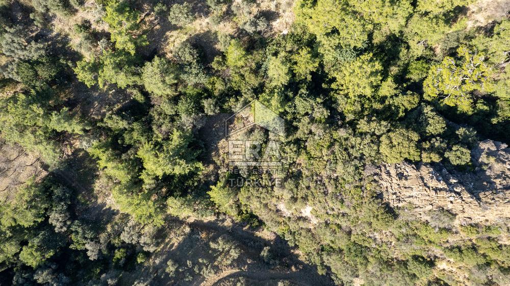 Datça Mesudiye'de Satılık 501m² Yatırım Değeri Yüksek Tarla