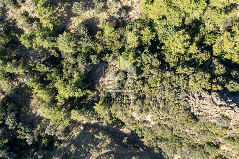 Datça Mesudiye'de Satılık 501m² Yatırım Değeri Yüksek Tarla