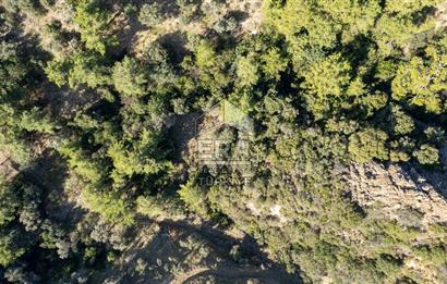 Datça Mesudiye'de Satılık 501m² Yatırım Değeri Yüksek Tarla