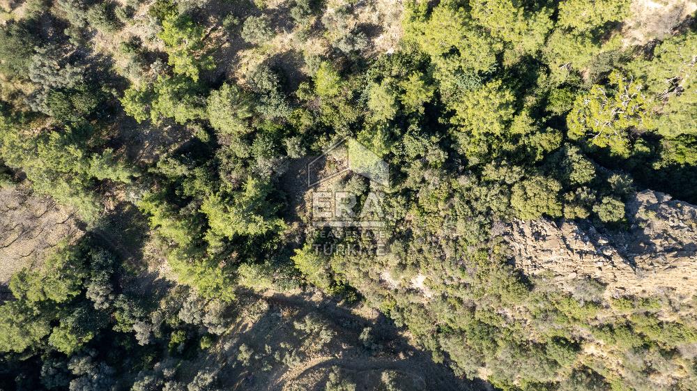 Datça Mesudiye'de Satılık 501m² Yatırım Değeri Yüksek Tarla