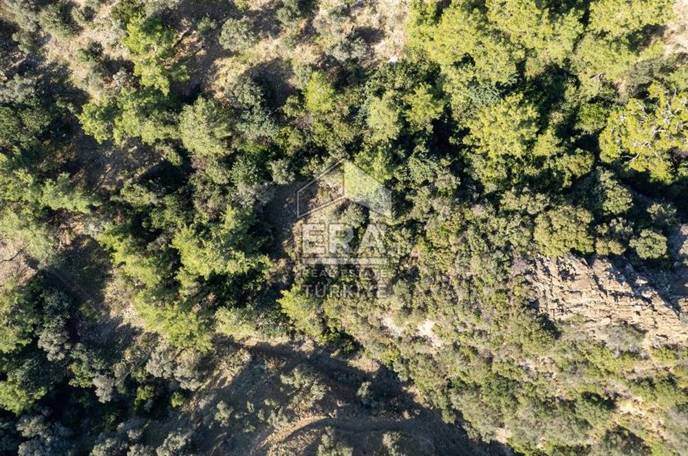 Datça Mesudiye'de Satılık 501m² Yatırım Değeri Yüksek Tarla