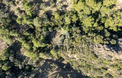 Datça Mesudiye'de Satılık 501m² Yatırım Değeri Yüksek Tarla