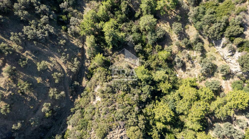 Datça Mesudiye'de Satılık 501m² Yatırım Değeri Yüksek Tarla