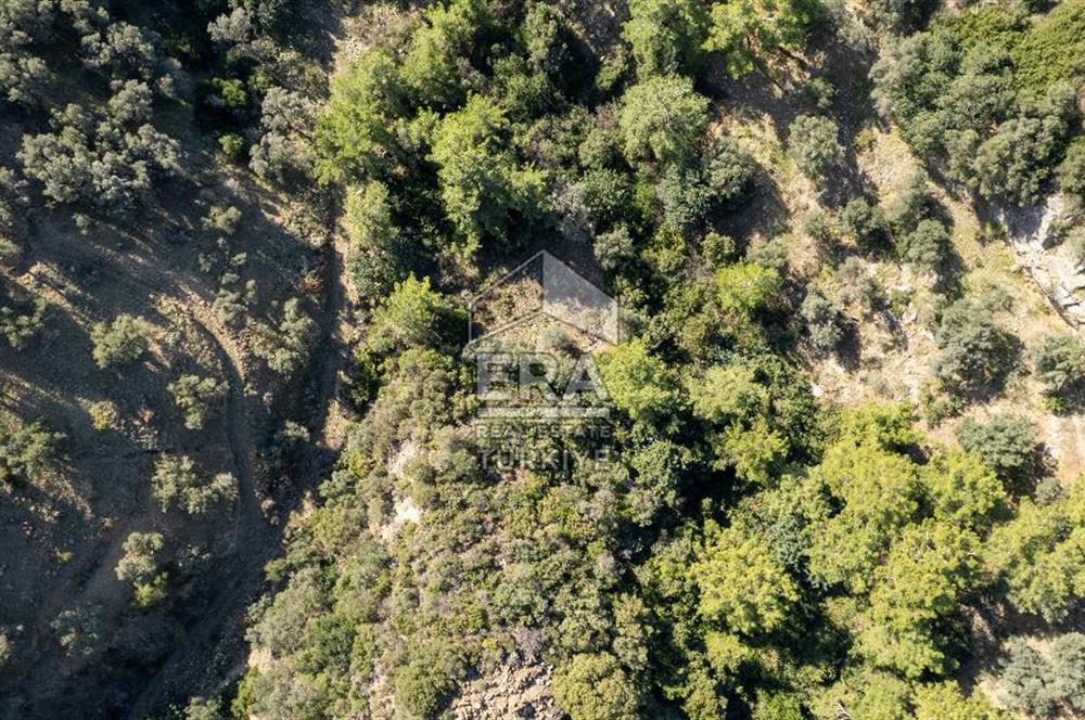 Datça Mesudiye'de Satılık 501m² Yatırım Değeri Yüksek Tarla