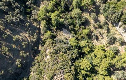 Datça Mesudiye'de Satılık 501m² Yatırım Değeri Yüksek Tarla