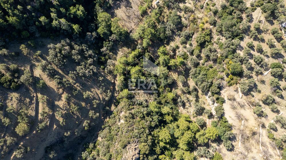 Datça Mesudiye'de Satılık 501m² Yatırım Değeri Yüksek Tarla