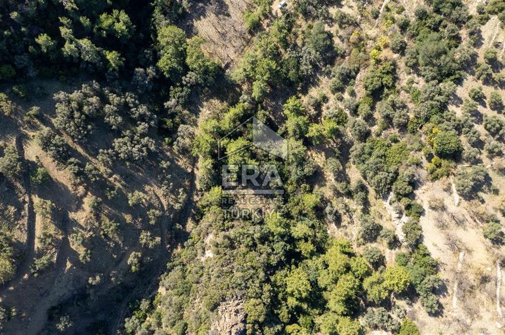 Datça Mesudiye'de Satılık 501m² Yatırım Değeri Yüksek Tarla