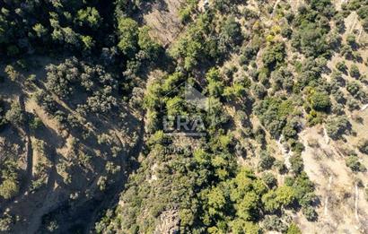 Datça Mesudiye'de Satılık 501m² Yatırım Değeri Yüksek Tarla