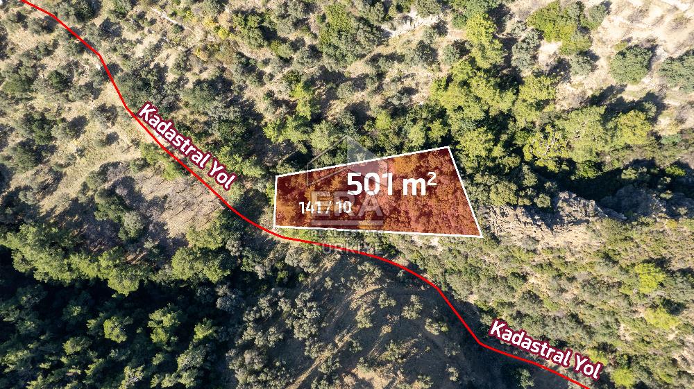 Datça Mesudiye'de Satılık 501m² Yatırım Değeri Yüksek Tarla