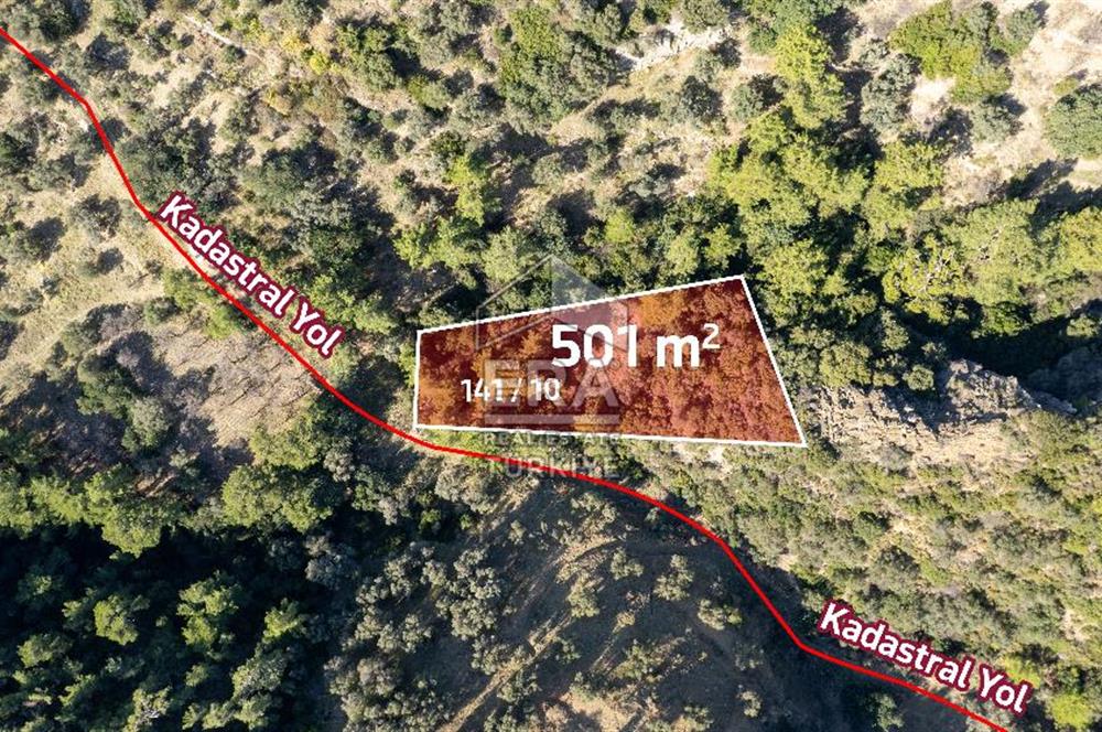 Datça Mesudiye'de Satılık 501m² Yatırım Değeri Yüksek Tarla