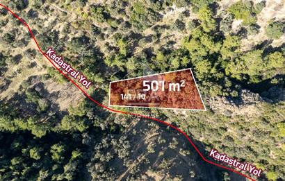 Datça Mesudiye'de Satılık 501m² Yatırım Değeri Yüksek Tarla