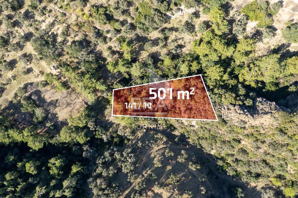 Datça Mesudiye'de Satılık 501m² Yatırım Değeri Yüksek Tarla